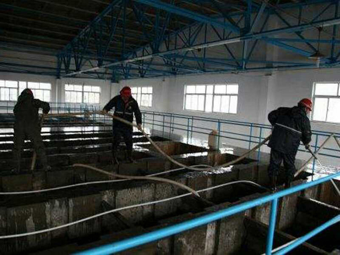 廠區沉淀池清理 